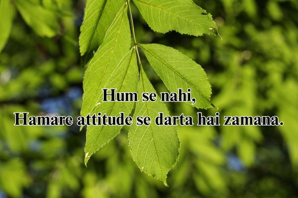 attitide poetry