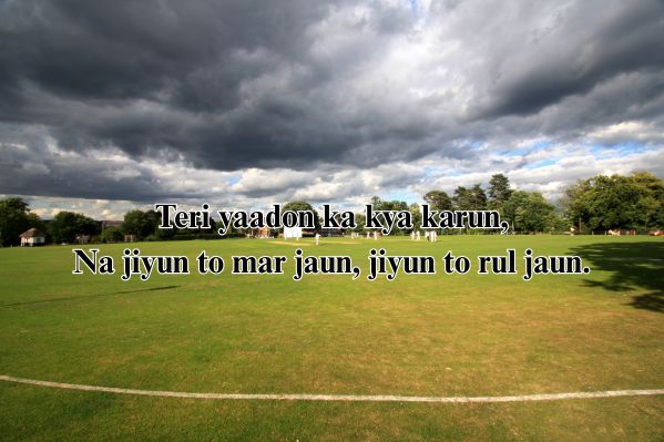 बेस्ट शायरी