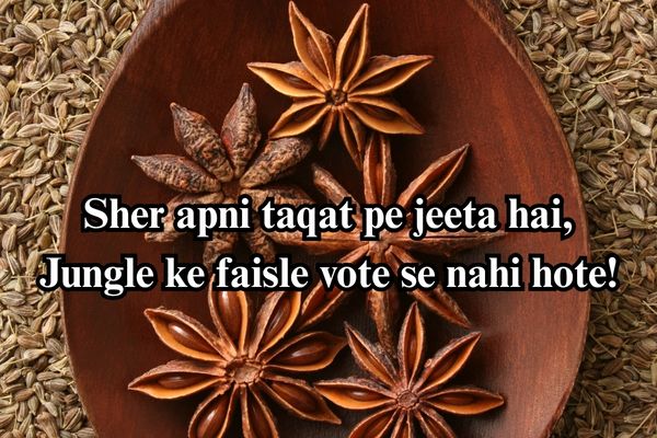 attitude poetry in urdu 2 lines text