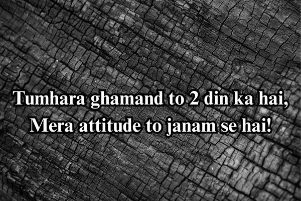 भाई बदमाश शायरी
