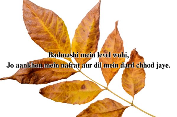 Attitude Shayari in Punjabi