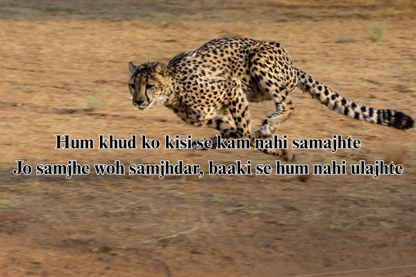 instagram badmashi shayari