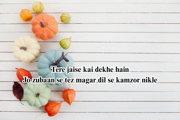 badmash shayari