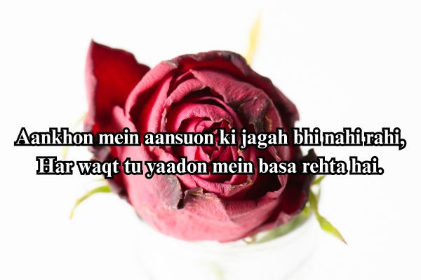 shayari hindi love