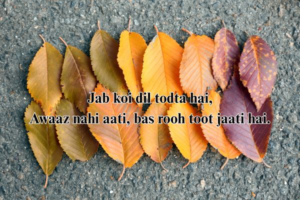 shayari love romantic

