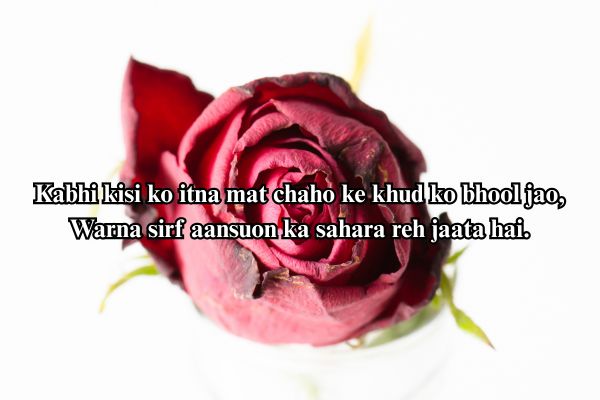shayari hindi love 2 line