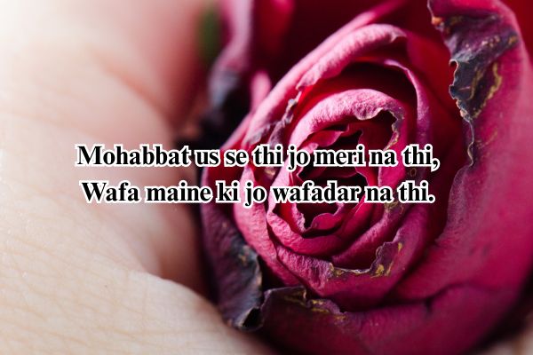 shayari hindi love 2 line