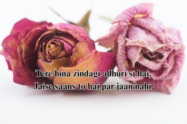 sher shayari