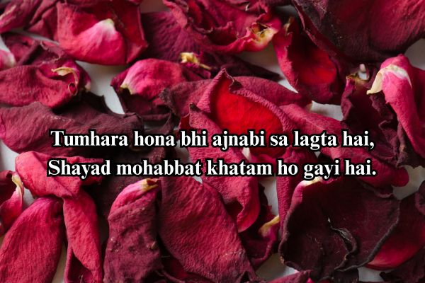 sher shayari
