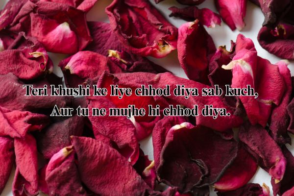 sher shayari