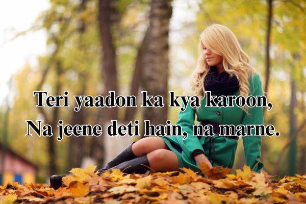 shayari
