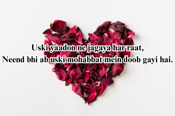 shero shayari hindi

