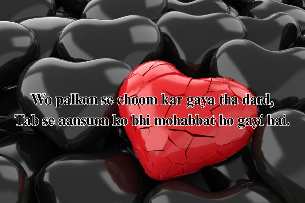 shero shayari hindi
